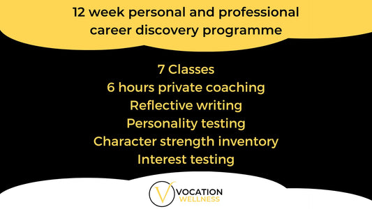 12 week Personal and Professional Career development programme